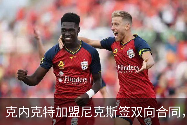 克内克特加盟尼克斯签双向合同，前湖人球员展新机遇